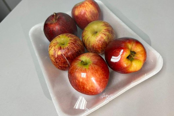 SSS Embalagens 600x400 PVC Esticavel 4